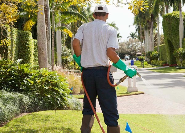 About Knox IN Pest Control